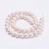 Wrinkle Textured Shell Pearl Beads Strands BSHE-E016-14mm-07-2