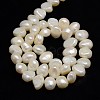 Natural Cultured Freshwater Pearl Beads Strands PEAR-L001-C-01-3