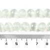 Natural Selenite Beads Strands G-C142-01A-06-5