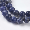 Natural Sodalite Beads Strands X-G-E110-6mm-3-3