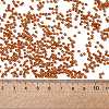 11/0 FGB Grade A Transparent Glass Seed Beads X-SEED-Q006-F24-3