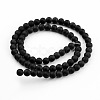Frosted Glass Bead Strands X-GLAA-G016-10mm-02-2
