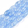 Transparent Crackle Glass Beads Strands GLAA-S192-B-010C-1
