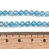 Natural & Dyed Blue Topaz Beads Strands G-B088-C05-04-4