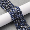 Natural Sodalite Beads Strands G-Z006-A39-1