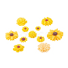 Resin Cabochons CRES-CJC0005-01B-3
