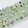 Natural Prehnite Beads Strands G-G457-8mm-03-1