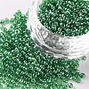 Glass Seed Beads SEED-US0003-2mm-107B-1