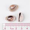Natural Cowrie Shell Beads X-BSHE-S053-3