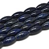 Natural Lapis Lazuli Beads Strands G-K311-11C-01-1