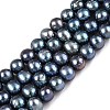 Natural Cultured Freshwater Pearl Beads Strands PEAR-N013-08H-2