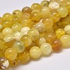 Natural Yellow Opal Round Bead Strands G-M296-02-8mm-2