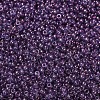 MIYUKI Round Rocailles Beads X-SEED-G007-RR1884-4