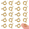 20Pcs 304 Stainless Steel Spring Ring Clasps STAS-UN0064-43-1
