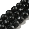 Natural Black Onyx Round Bead Strands G-L271-02-10mm-1