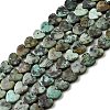 Natural African Turquoise(Jasper) Beads Strands G-A272-A01-25-3