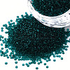 15/0 Transparent Czech Glass Seed Beads SEED-N004-004-03-1