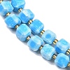 Natural Howlite Beads Strands G-C025-01B-5