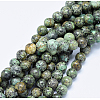 Natural African Turquoise(Jasper) Beads Strands G-D840-90-10mm-4