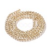 Transparent Electroplate Glass Beads Strands X1-GLAA-H021-01B-PL02-4