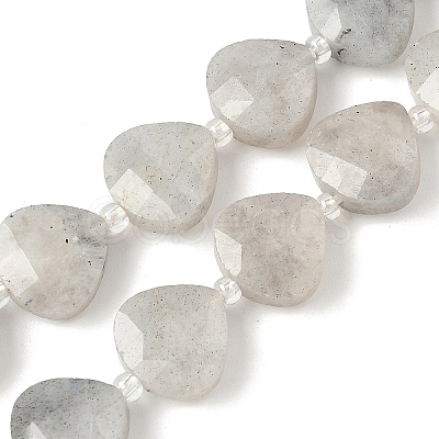 Natural Labradorite Beads Strands G-D316-A17-1