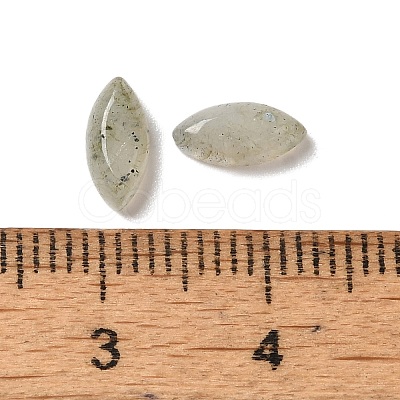 Natural Labradorite Cabochons G-F772-01B-18-1