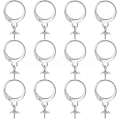 SUNNYCLUE 40Pcs 304 Stainless Steel Leverback Earring Findings STAS-SC0006-49-1