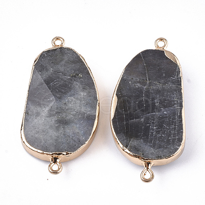 Electroplate Natural Labradorite Links Connectors G-S344-70C-01-1