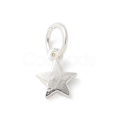 S925 Sterling Silver Pendant STER-H115-03C-S-1