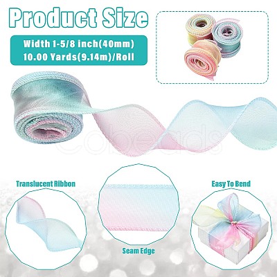 Polyester Organza Ribbon SRIB-FZC0001-001D-1