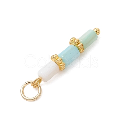 Dyed Natural Freshwater Shell Beaded Pendants PALLOY-JF05024-02-1