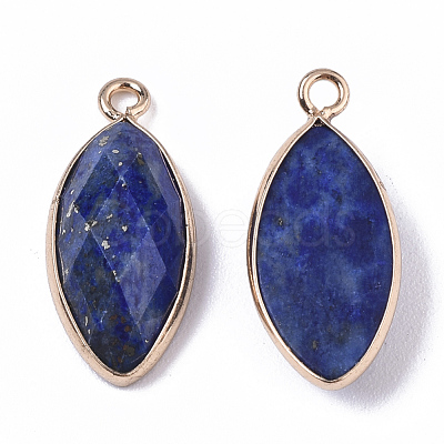 Natural Lapis Lazuli Pendants G-T131-07B-1
