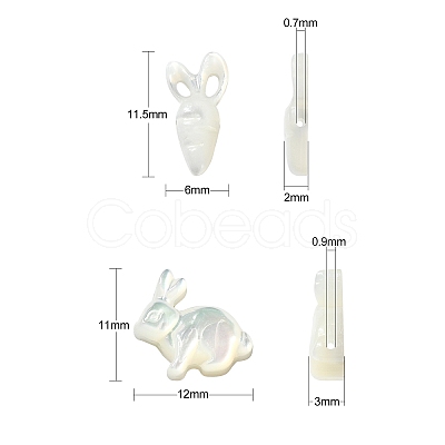 6Pcs 2 Styles Natural White Shell Beads BSHE-CJ0001-05-1