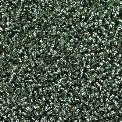 MIYUKI Delica Beads SEED-MY11-DB2165-1
