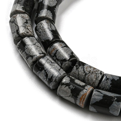 Natural Snowflake Obsidian Stone Beads Strands G-Q1008-A02-1