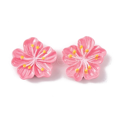 Resin Cabochons OACR-U002-03A-1