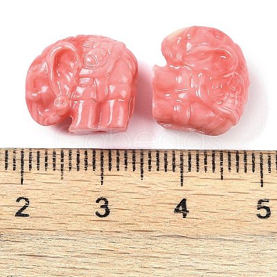 Synthetic Shell Dyed Carved Beads SHEL-H005-12-1