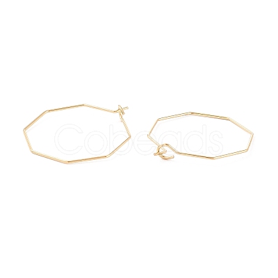 Ion Plating(IP) 316 Stainless Steel Hoop Earrings Findings STAS-C029-02G-1
