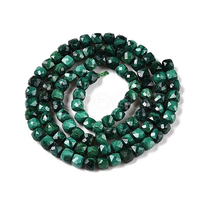 Natural Malachite Beads Strands G-N342-119-1