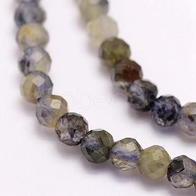 Natural Cordierite/Iolite/Dichroite Beads Strands G-F509-39-3mm-1