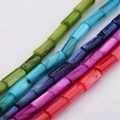 Natural Shell Bead Strands BSHE-P016-M-1