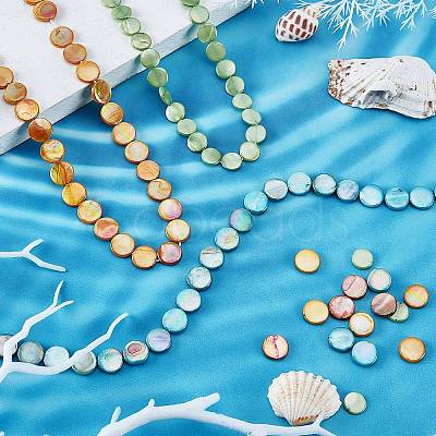 4 Strands 4 Colors Freshwater Shell Beads Strands SHEL-SC0001-13-1