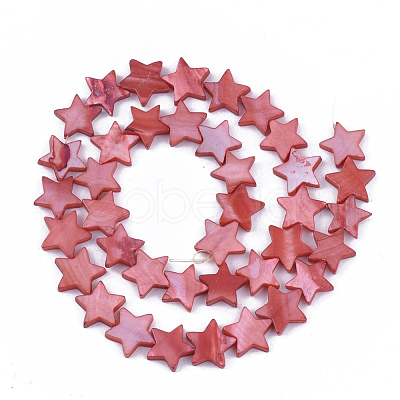 Freshwater Shell Beads Strands SHEL-S276-31D-1