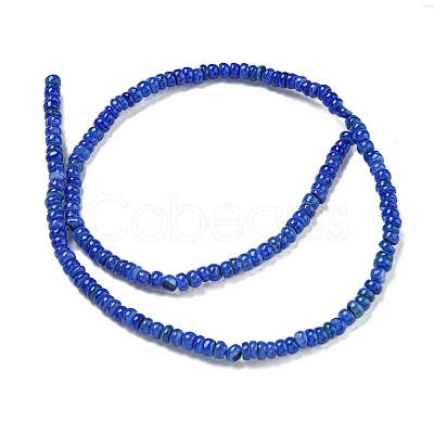 Dyed Natural Freshwater Shell Beads Strands X1-BSHE-G039-07J-1