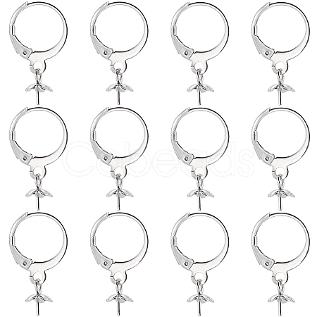 SUNNYCLUE 40Pcs 304 Stainless Steel Leverback Earring Findings STAS-SC0006-49-1