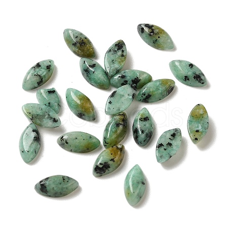 Natural African Turquoise(Jasper) Cabochons G-F772-01B-14-1
