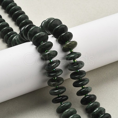 Natural Seraphinite Beads Strands G-A262-B02-01-1