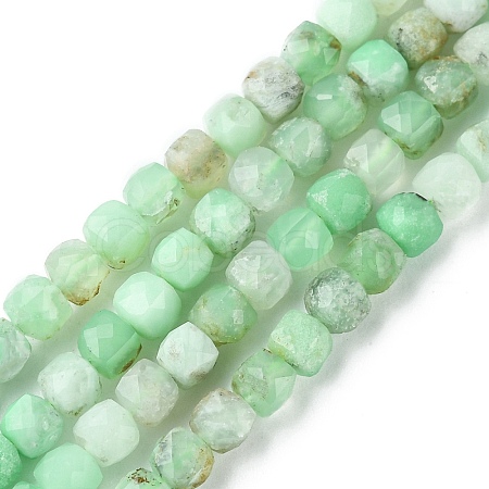 Natural Chrysoprase Beads Strands G-F748-F01-01B-1