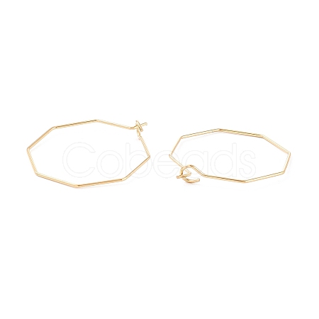 Ion Plating(IP) 316 Stainless Steel Hoop Earrings Findings STAS-C029-02G-1
