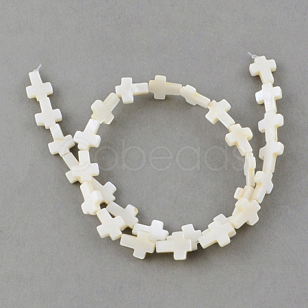Natural Freshwater Shell Beads Strands X-SSHEL-Q296-34-1